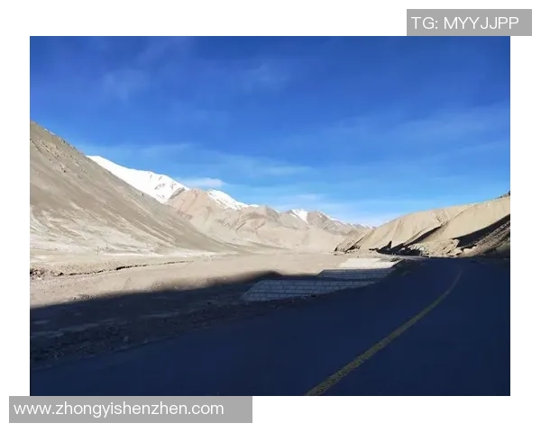 足球巨星们的骑行之旅：驰骋绿茵场外的速度与激情